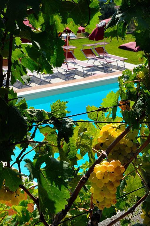 Poggio Dei Gorleri Alojamento de Turismo Rural